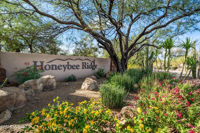 530 E Thunderstorm Place, Oro Valley, AZ 85755