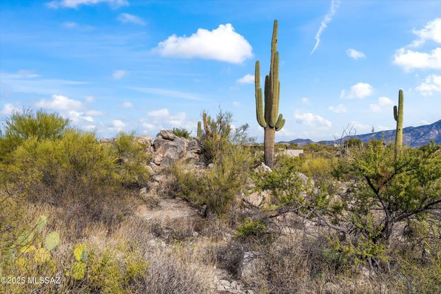 530 E Thunderstorm Place, Oro Valley, AZ 85755