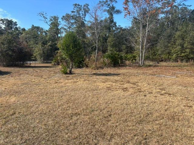 343 NE 884TH AVENUE, Old Town, FL 32680