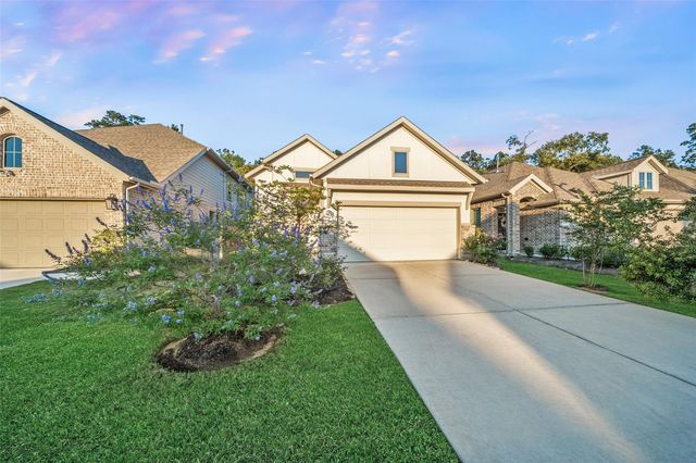 17435 Vino Vines Lane, Conroe, TX 77302