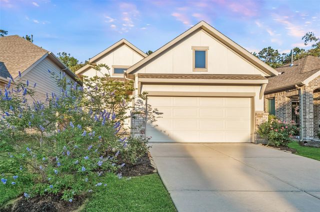 17435 Vino Vines Lane, Conroe, TX 77302