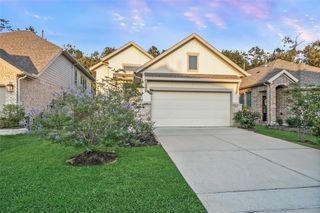 17435 Vino Vines Lane, Conroe, TX 77302