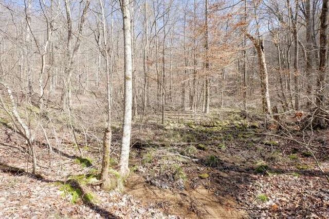 217 Beaver Pond Drive, Murphy, NC 28906