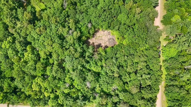 TBD Lots B & C 389th Avenue, Aitkin, MN 56431