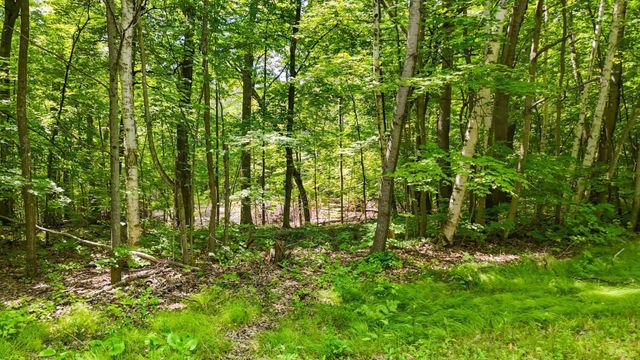 TBD Lots B & C 389th Avenue, Aitkin, MN 56431