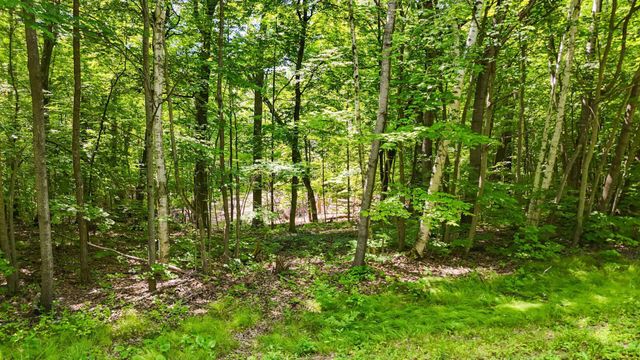 TBD Lots B & C 389th Avenue, Aitkin, MN 56431