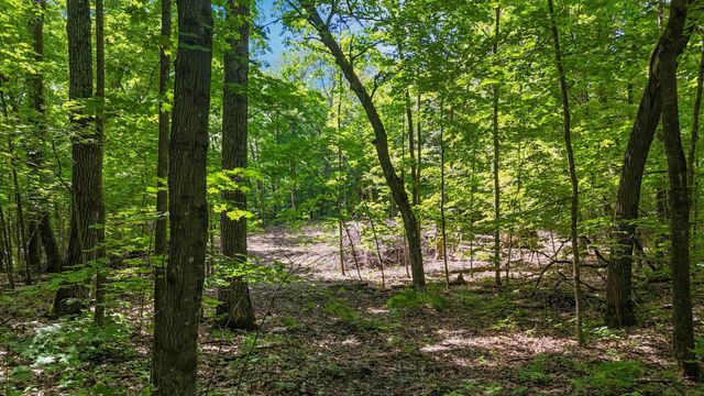 TBD Lots B & C 389th Avenue, Aitkin, MN 56431