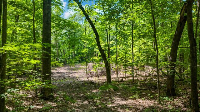 TBD Lots B & C 389th Avenue, Aitkin, MN 56431