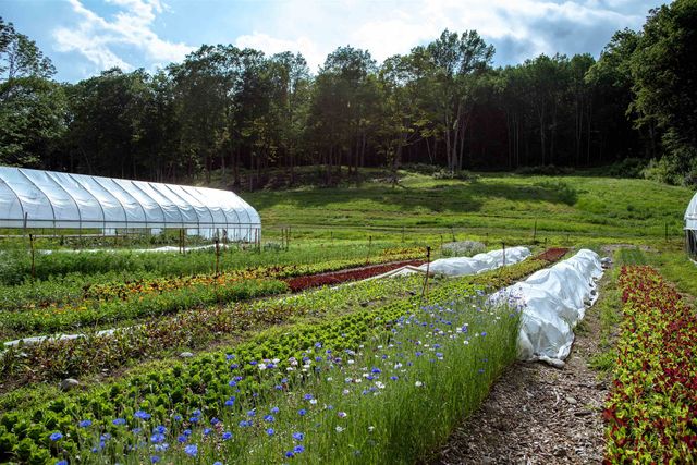 109 Morgan Road, Tinmouth, VT 05777