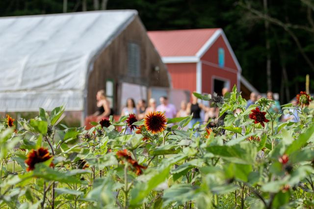 109 Morgan Road, Tinmouth, VT 05777