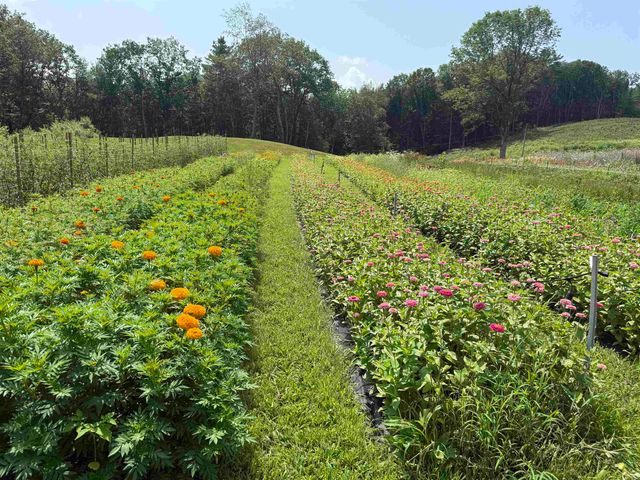 109 Morgan Road, Tinmouth, VT 05777