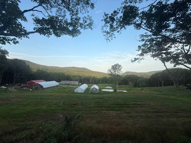 109 Morgan Road, Tinmouth, VT 05777