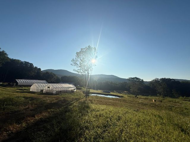 109 Morgan Road, Tinmouth, VT 05777