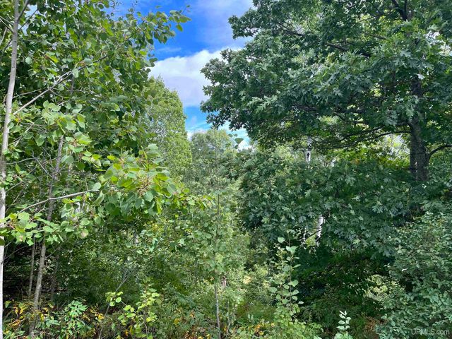 8190 Forest 2447 Road, Florence T-wi, WI 54121