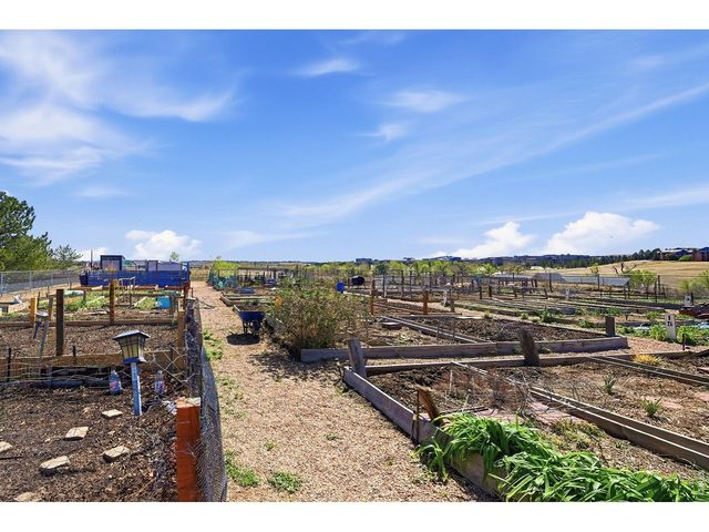 2040 Shamrock Dr, Superior, CO 80027