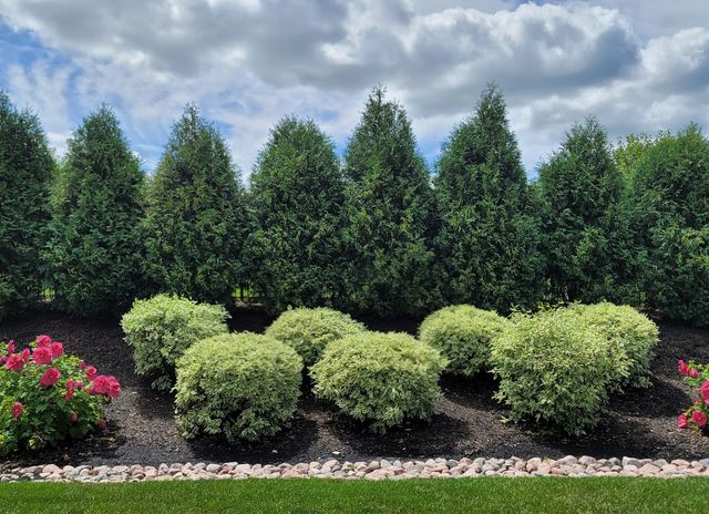 11701 Golden Gate Drive, Mokena, IL 60448