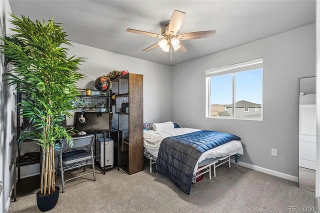 6563 E 117th Court, Thornton, CO 80233