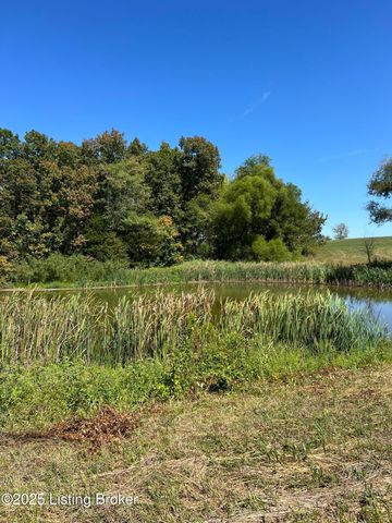 922 Sharon Rd, Ghent, KY 41045