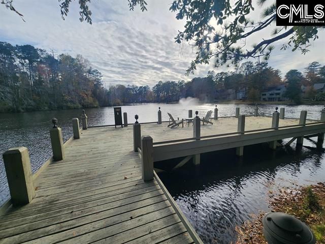 96 Ligustrum Lane, Columbia, SC 29209