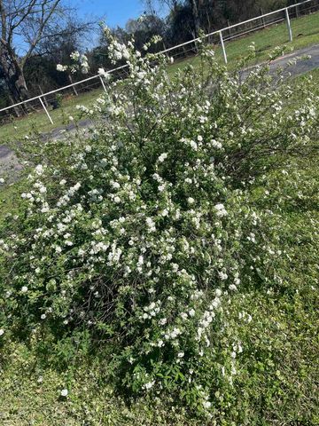 1624 CR 1560, Alba, TX 75410