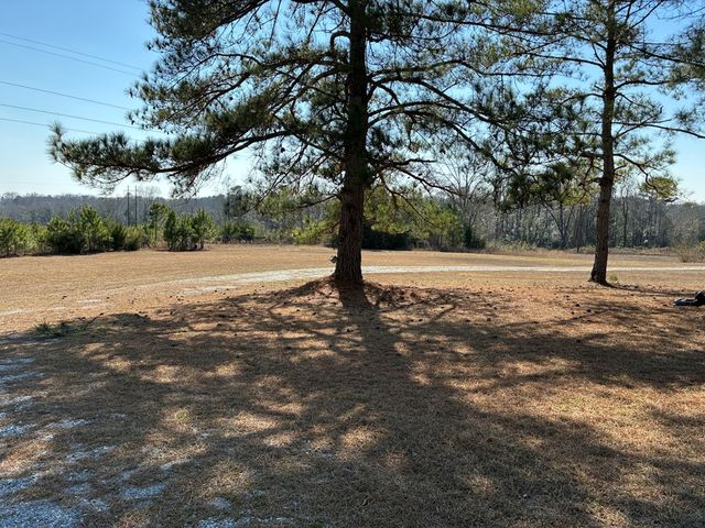 300 E County Rd 32 E, Headland, AL 36345