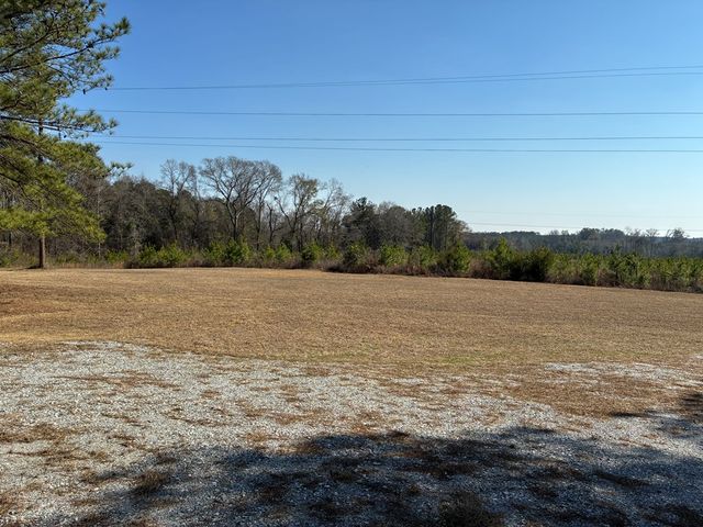 300 E County Rd 32 E, Headland, AL 36345