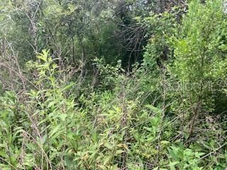 SWEETWATER TRAIL, Kissimmee, FL 34747