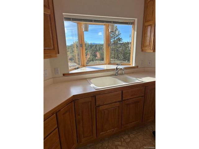 12880 County Road 261b, Nathrop, CO 81236