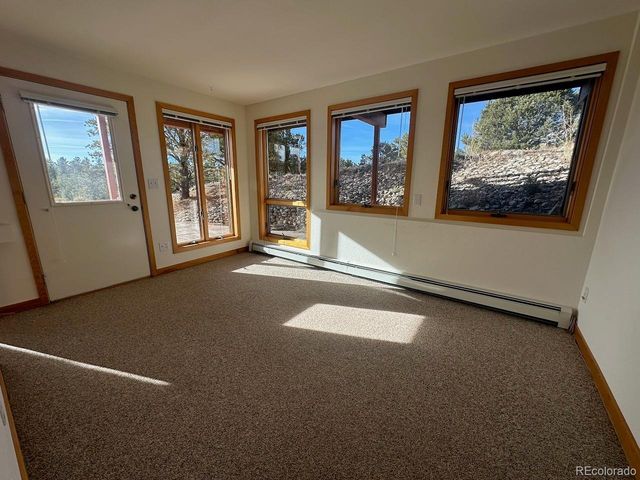 12880 County Road 261b, Nathrop, CO 81236