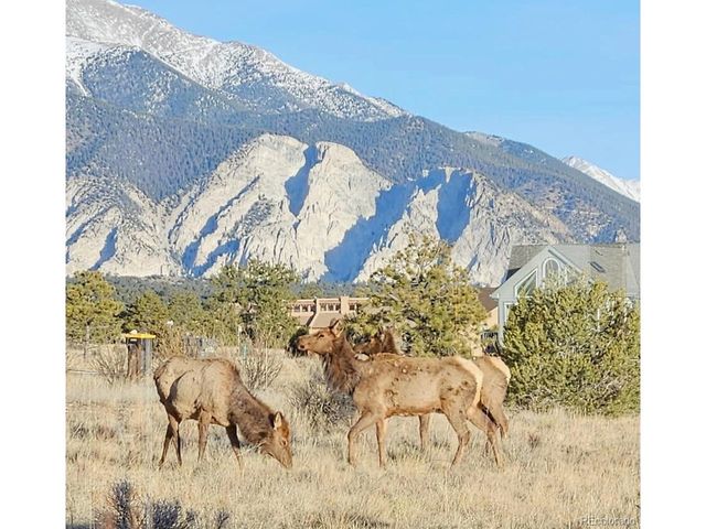 12880 County Road 261b, Nathrop, CO 81236