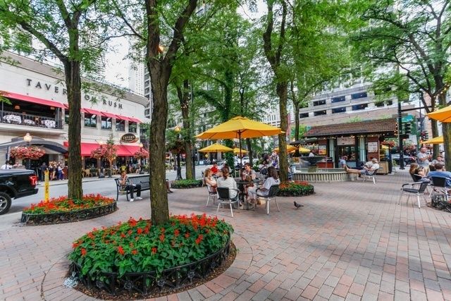 1030 N State Street 34D, Chicago, IL 60610