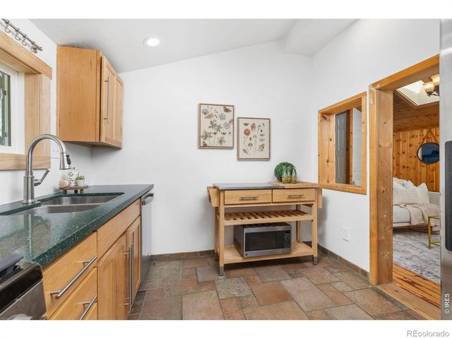 38 E Pine Street, Nederland, CO 80466