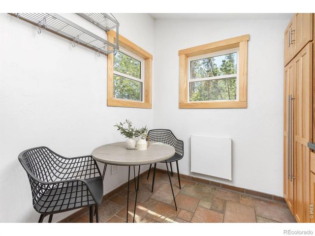 38 E Pine Street, Nederland, CO 80466