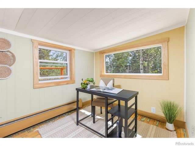 38 E Pine Street, Nederland, CO 80466