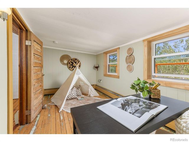 38 E Pine Street, Nederland, CO 80466