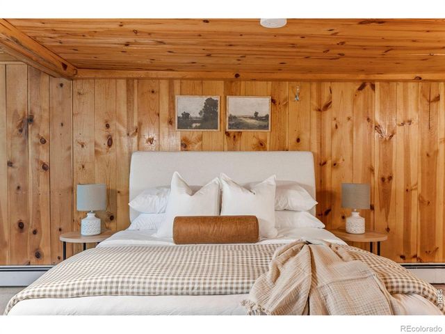 38 E Pine Street, Nederland, CO 80466