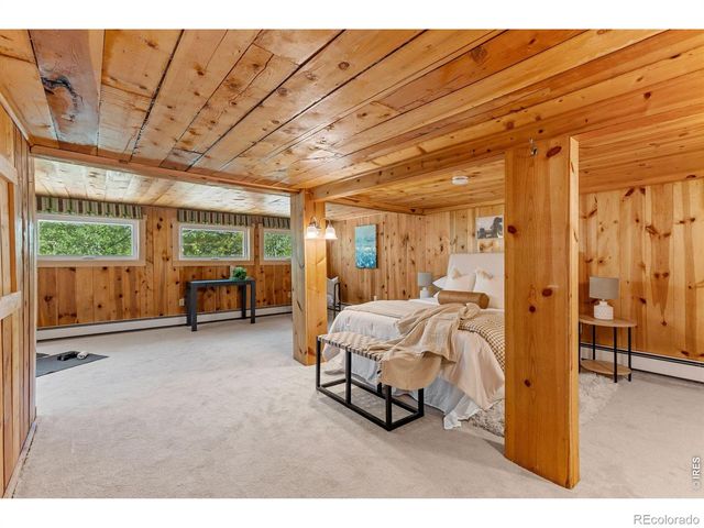 38 E Pine Street, Nederland, CO 80466