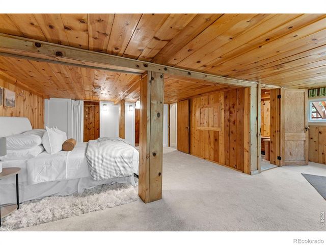 38 E Pine Street, Nederland, CO 80466