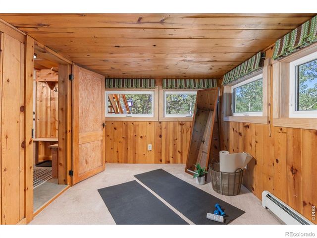 38 E Pine Street, Nederland, CO 80466