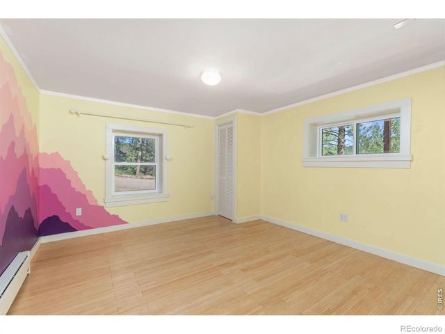 38 E Pine Street, Nederland, CO 80466