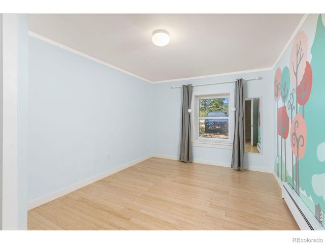 38 E Pine Street, Nederland, CO 80466