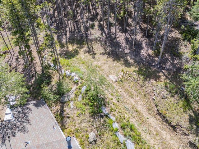 38 E Pine Street, Nederland, CO 80466