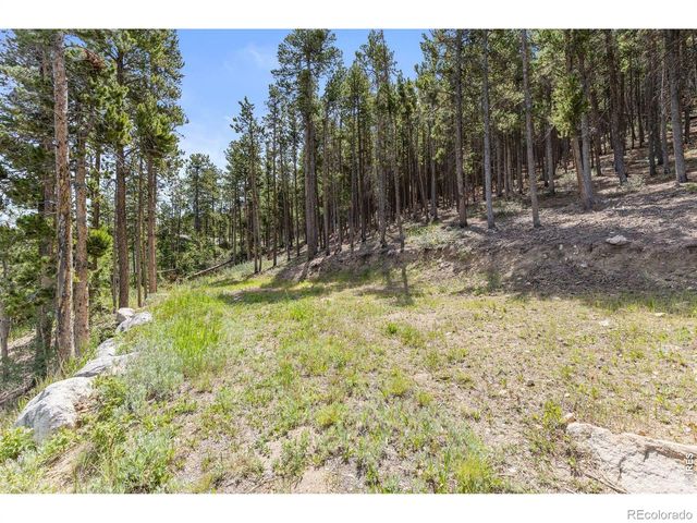38 E Pine Street, Nederland, CO 80466