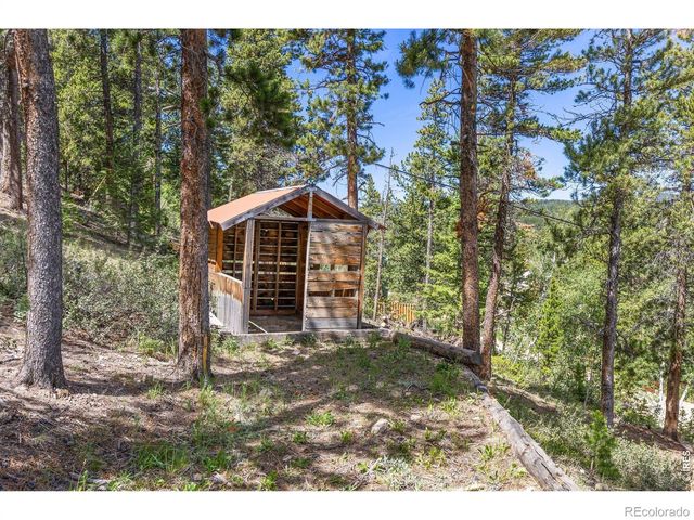 38 E Pine Street, Nederland, CO 80466