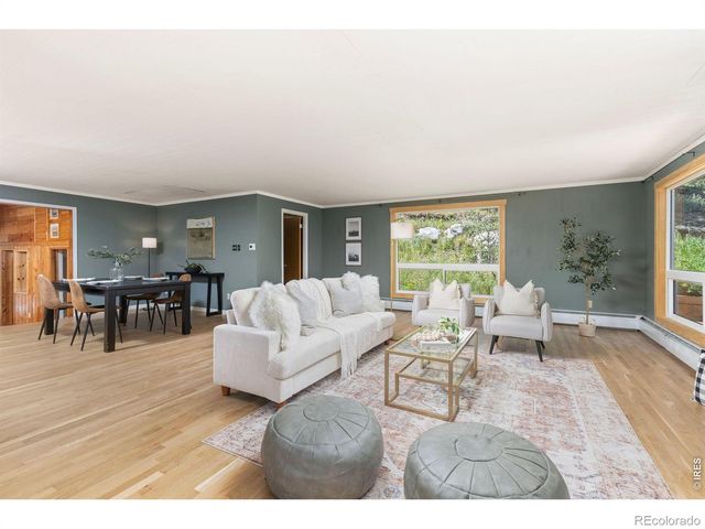 38 E Pine Street, Nederland, CO 80466
