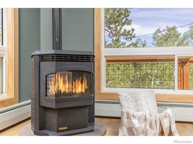 38 E Pine Street, Nederland, CO 80466