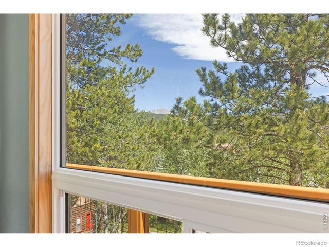 38 E Pine Street, Nederland, CO 80466