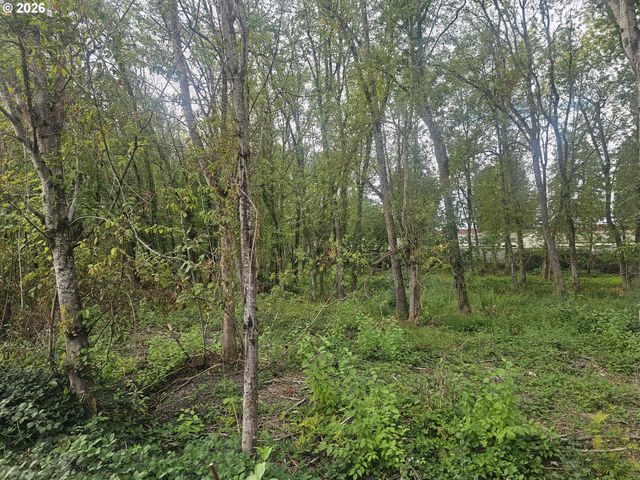 53rd St, Vancouver, WA 98662