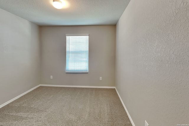 2431 Pechora Pipit, New Braunfels, TX 78130
