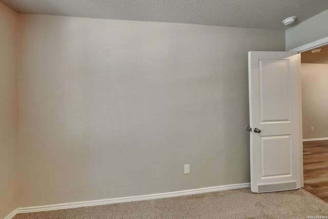 2431 Pechora Pipit, New Braunfels, TX 78130